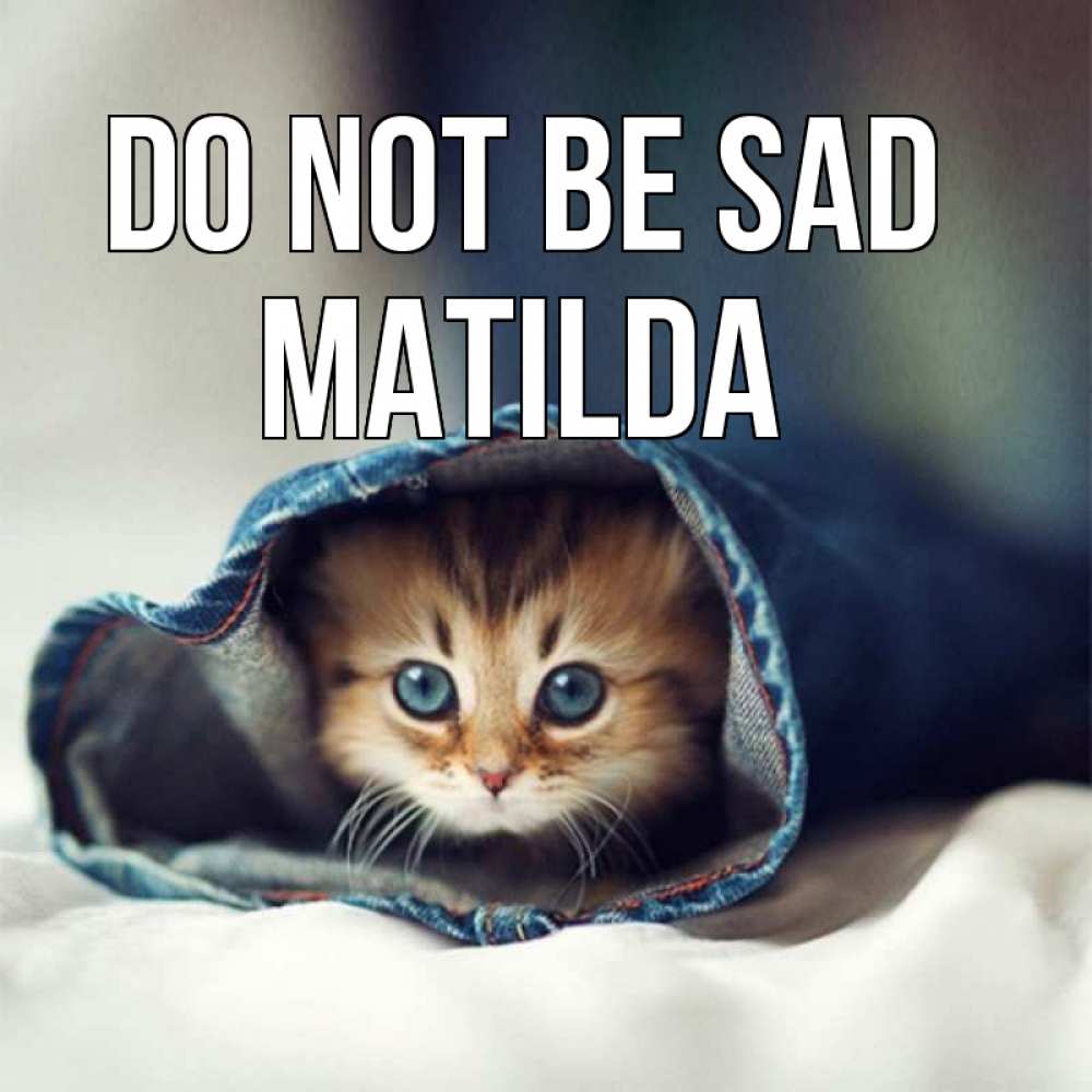 Greetings card с именем, Matilda Do not be sad рыжик котик Greetings with text for free download 
