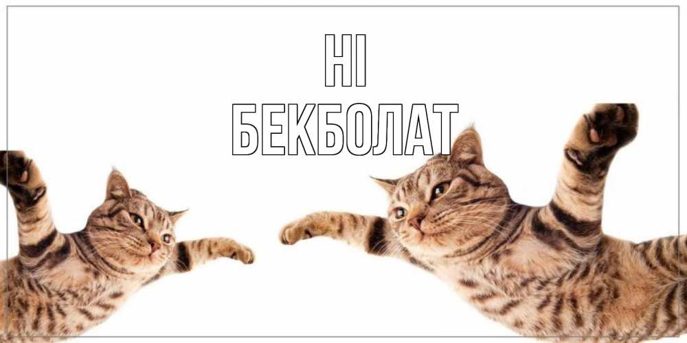 Greetings card с именем, Бекболат Hi кот Greetings with text for free download 