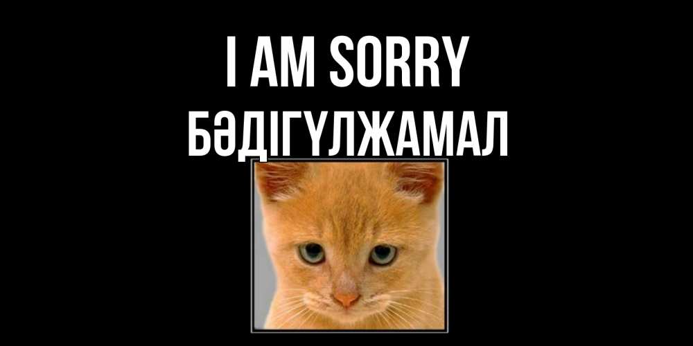 Greetings card с именем, БӘДІГҮЛЖАМАЛ I am sorry рыжий грустный кот просит прощения Greetings with text for free download 