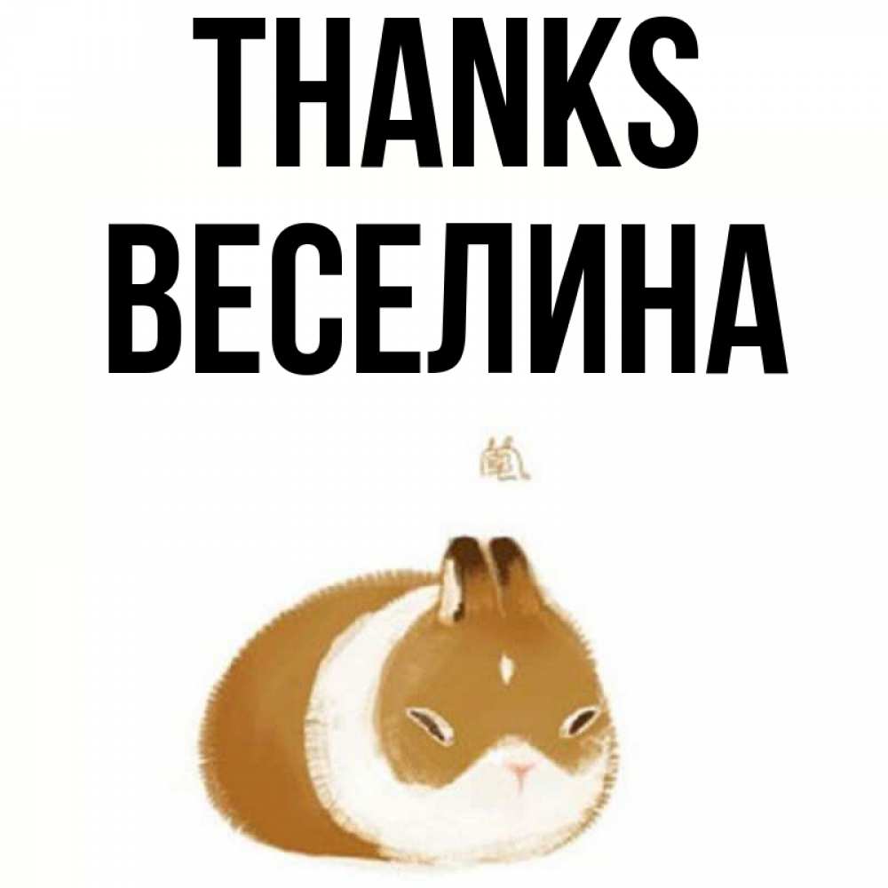 Greetings card с именем, Веселина Thanks коричнево белый домашний питомец Greetings with text for free download 