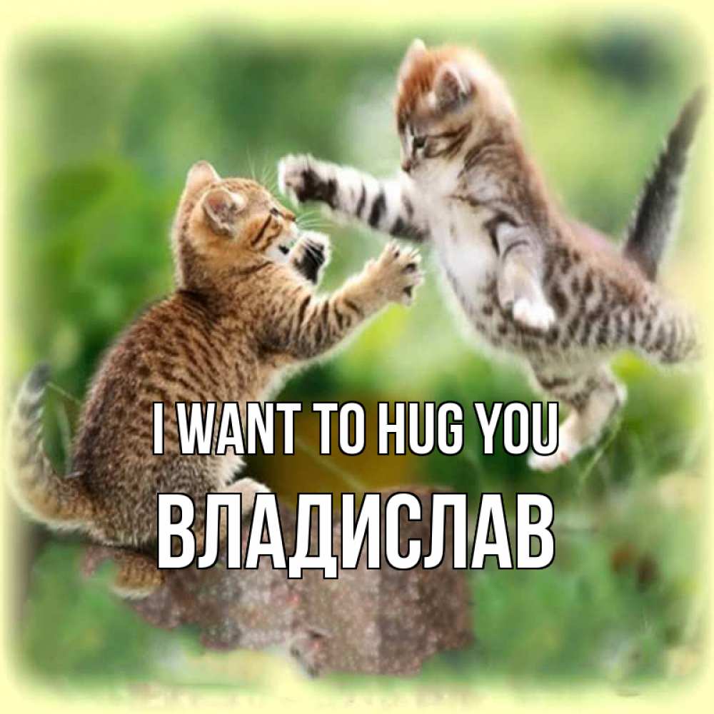 Greetings card с именем, Владислав I want to hug you игры котят Greetings with text for free download 
