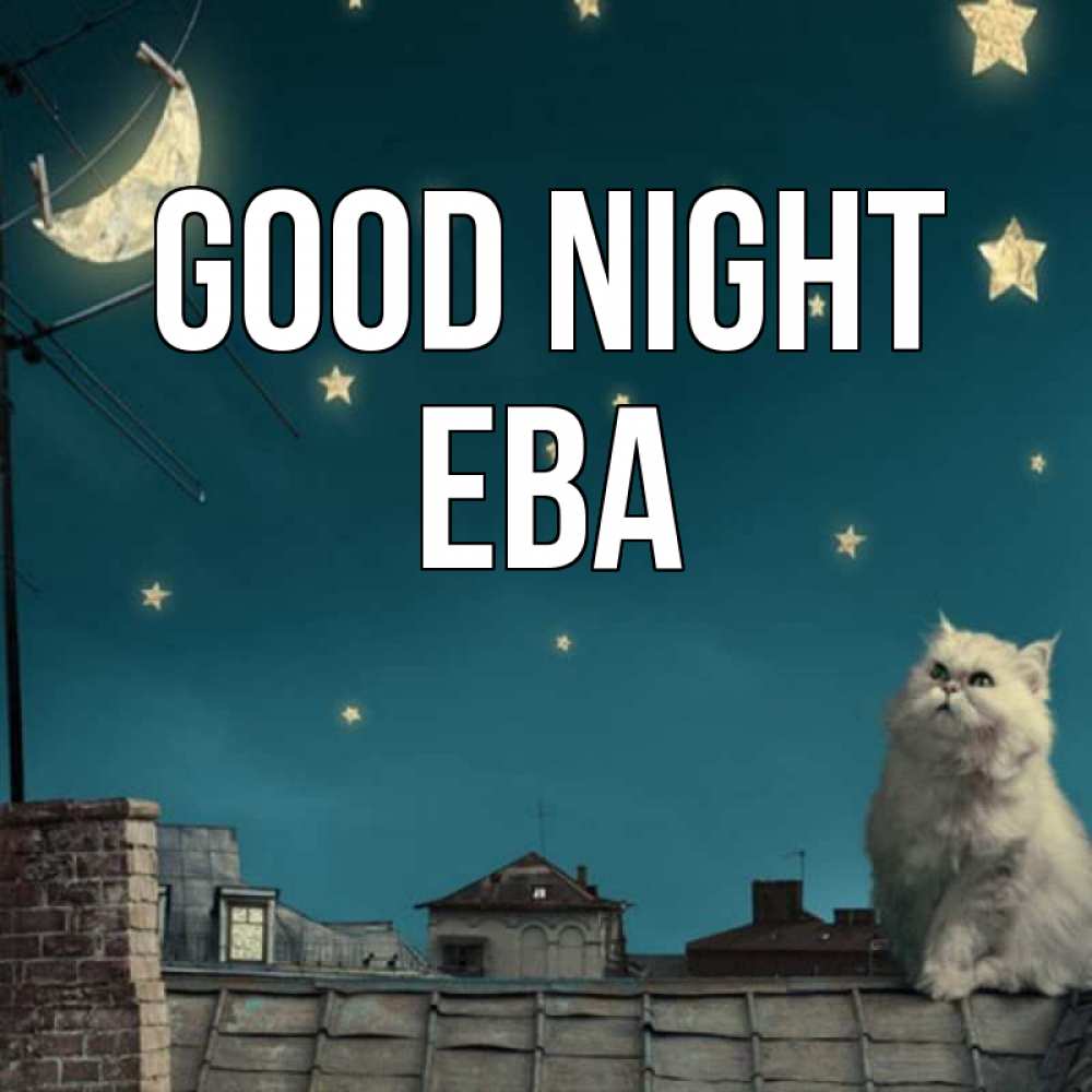 Greetings card с именем, Ева Good night белый кот сидит на крыше Greetings with text for free download 