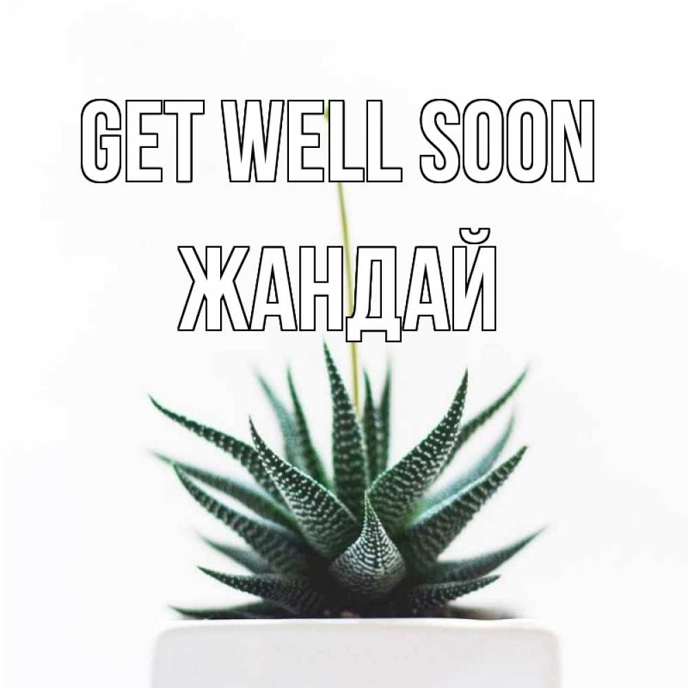Greetings card с именем, Жандай Get well soon короче это непонятная колючка Greetings with text for free download 