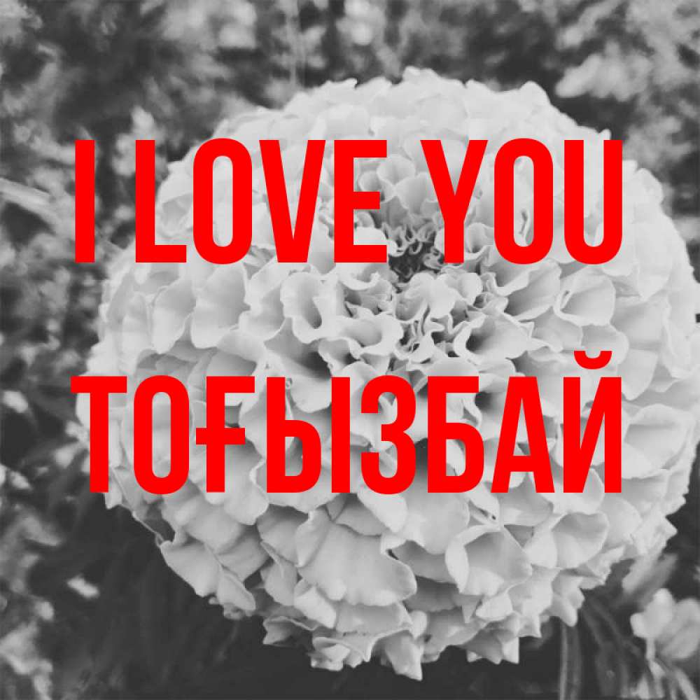 Greetings card с именем, ТОҒЫЗБАЙ I love you подпись Greetings with text for free download 