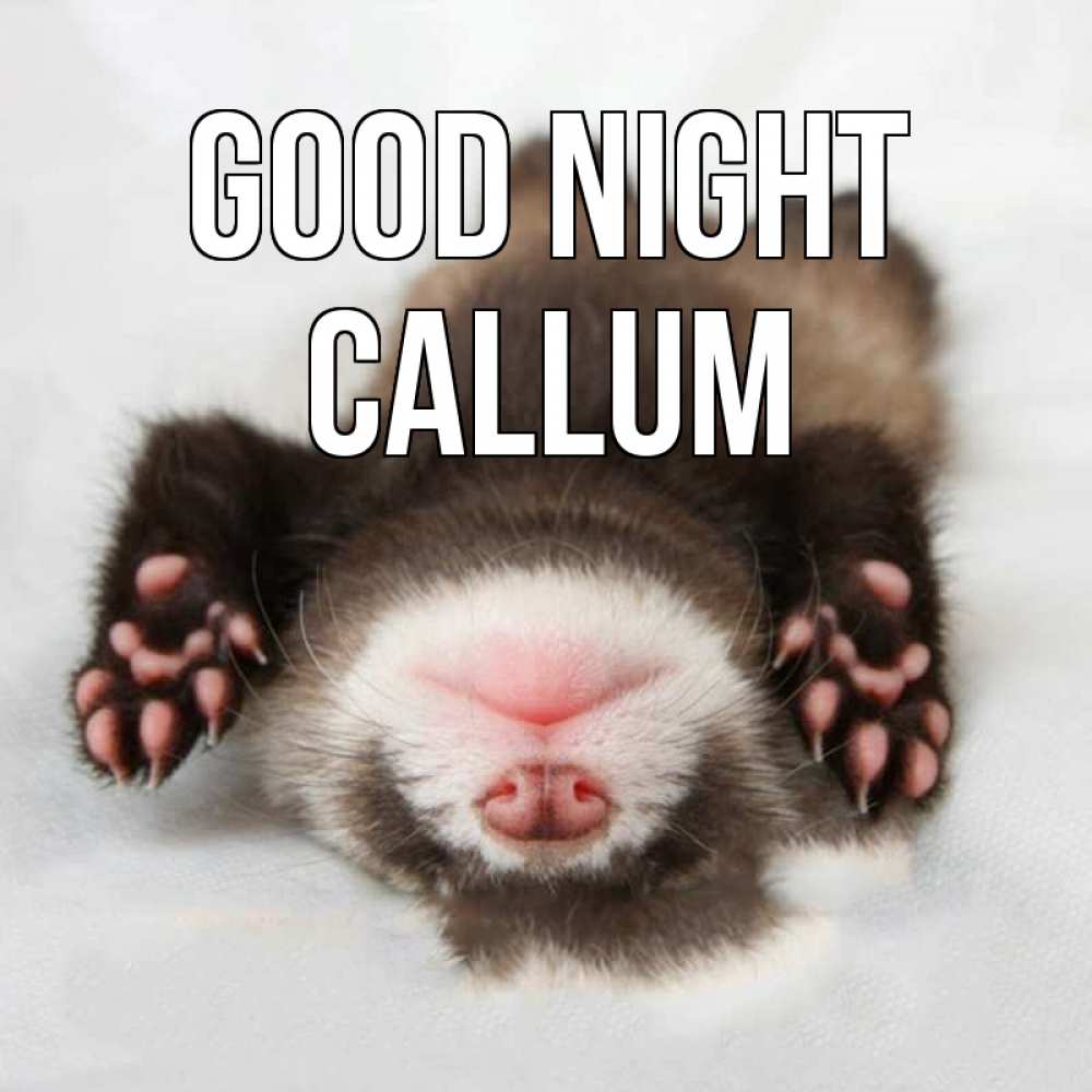 Greetings card с именем, Callum Good night зверек Greetings with text for free download 