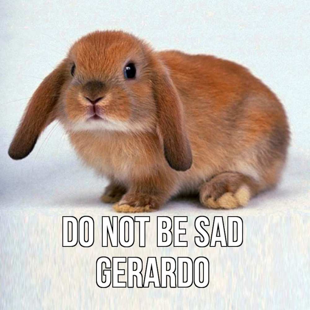 Greetings card с именем, Gerardo Do not be sad рыжий зая Greetings with text for free download 