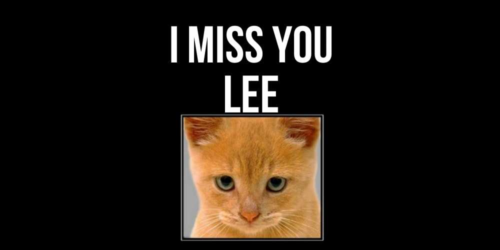 Greetings card с именем, Lee I miss you открытки рыжий котенок скучает по тебе Greetings with text for free download 