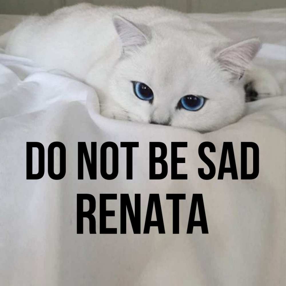 Greetings card с именем, Renata Do not be sad Голубоглазая кошка Greetings with text for free download 