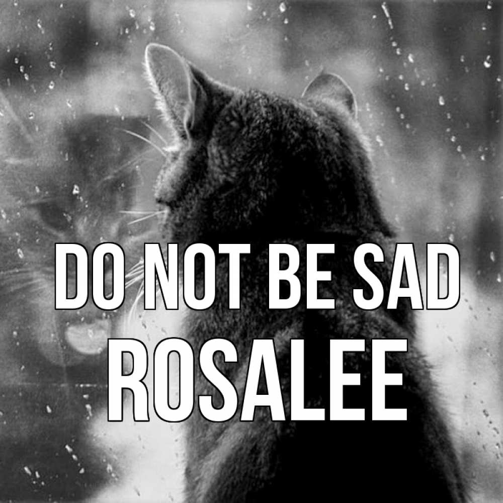 Greetings card с именем, Rosalee Do not be sad отражение кота 1 Greetings with text for free download 