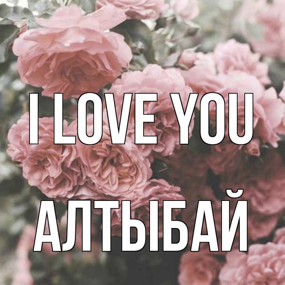 Greetings card с именем, Алтыбай I love you розы 3 Greetings with text for free download 
