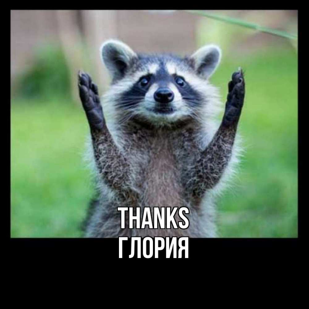 Greetings card с именем, Глория Thanks милые животные Greetings with text for free download 