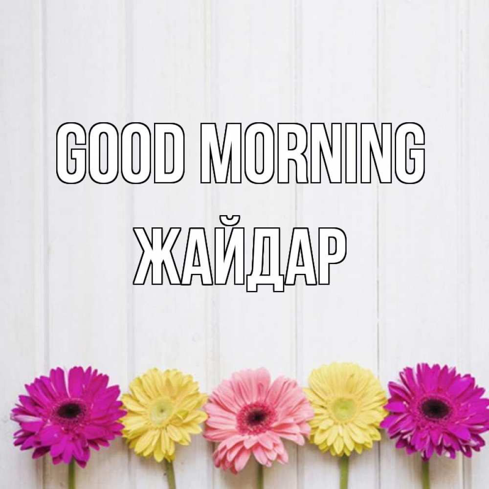Greetings card с именем, Жайдар Good morning красный желтый и розовый цветок Greetings with text for free download 