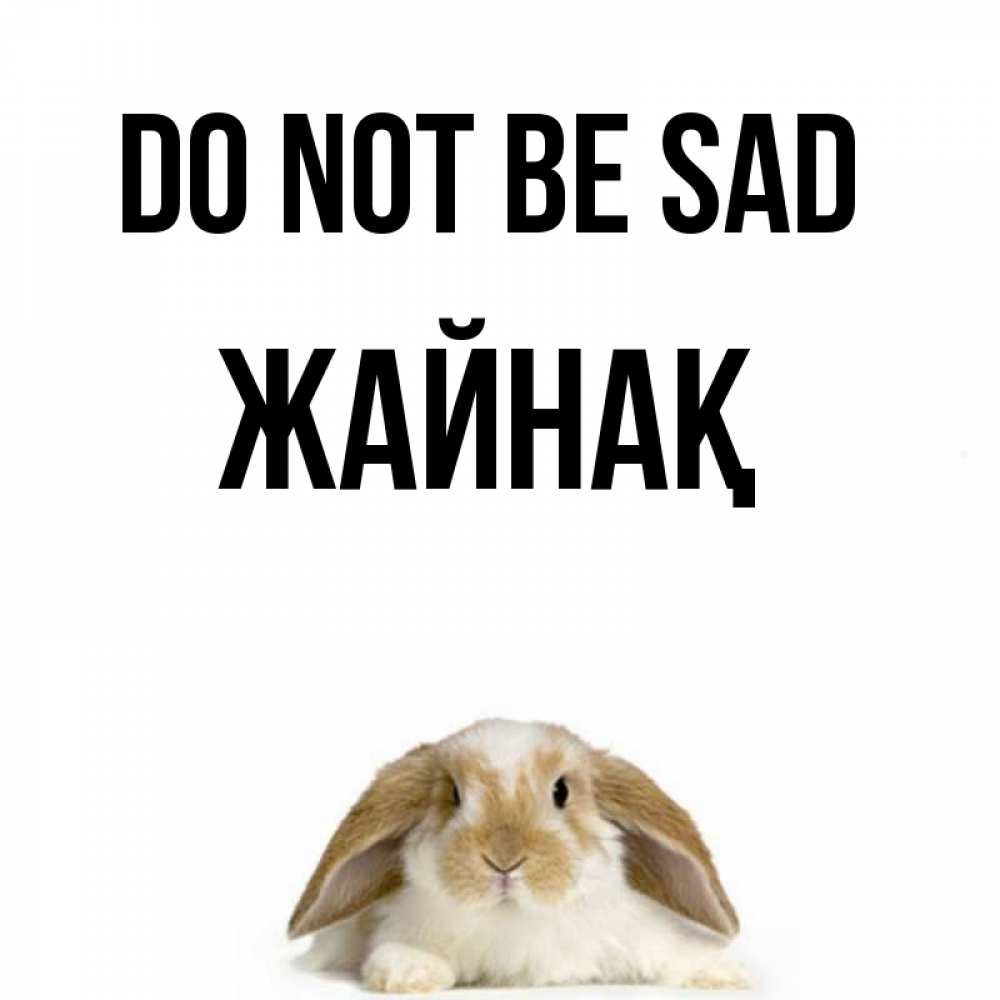 Greetings card с именем, Жайнақ Do not be sad коричнево белый заяц с большими ушками Greetings with text for free download 
