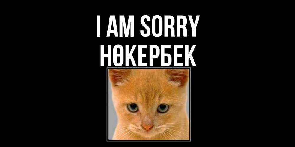 Greetings card с именем, НӨКЕРБЕК I am sorry рыжий грустный кот просит прощения Greetings with text for free download 
