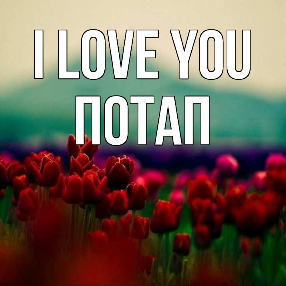 Greetings card с именем, Потап I love you тюльпаны 4 Greetings with text for free download 