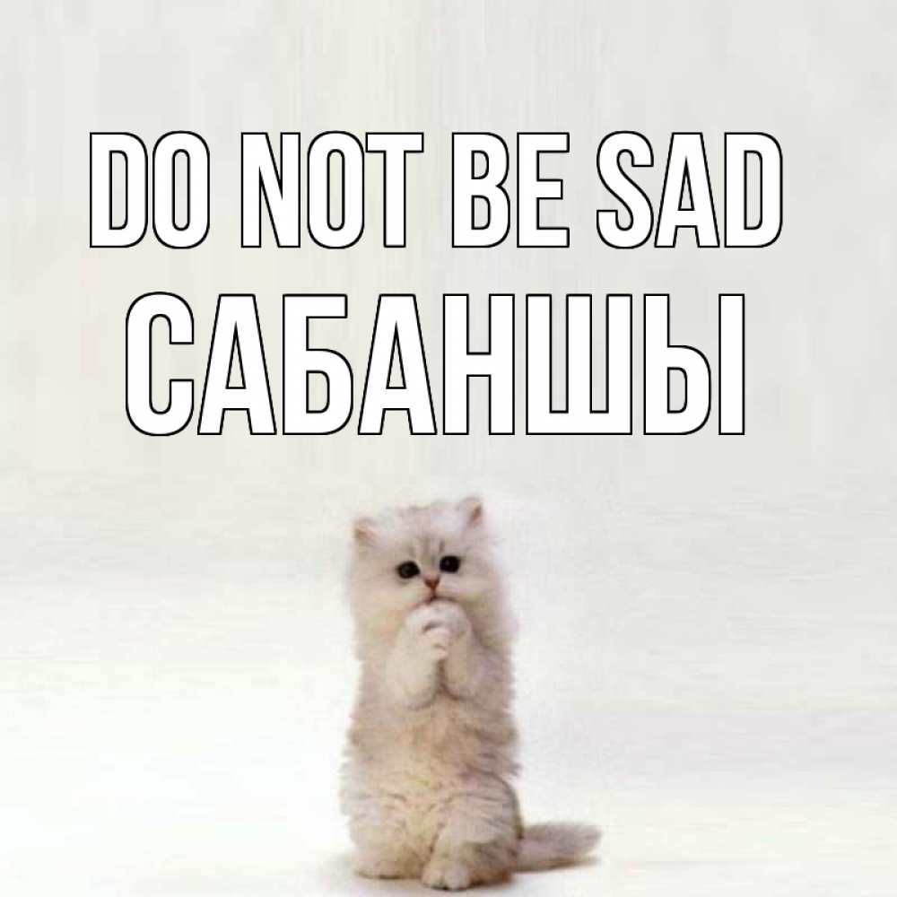 Greetings card с именем, САБАНШЫ Do not be sad грустный кот Greetings with text for free download 