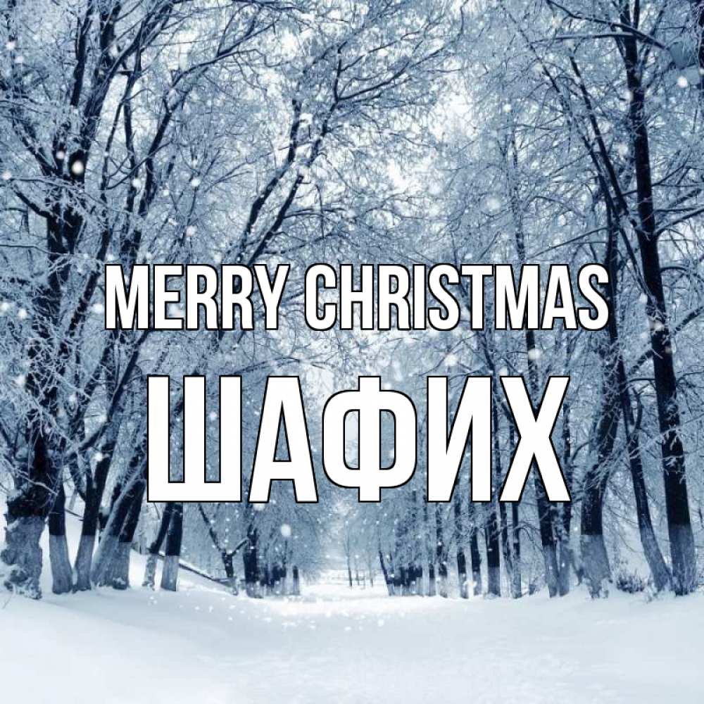 Greetings card с именем, ШАФИХ Merry Christmas снег, лес, парк Greetings with text for free download 