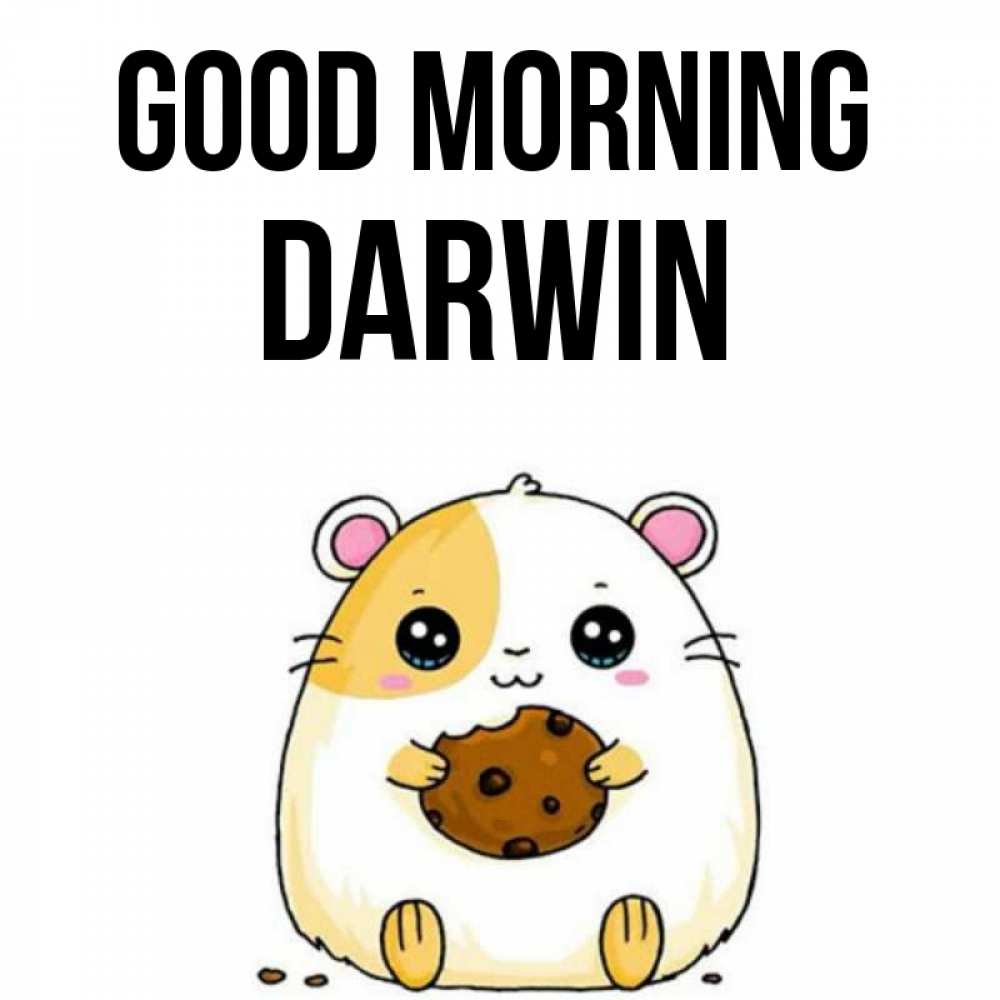 Greetings card с именем, Darwin Good morning есть печеньку. Утречко Greetings with text for free download 