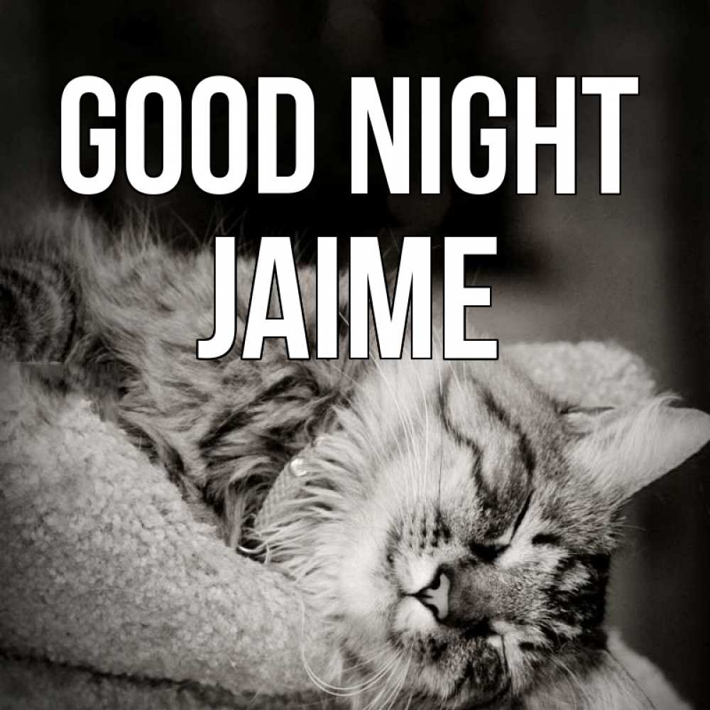 Greetings card с именем, Jaime Good night котярик пушистый Greetings with text for free download 
