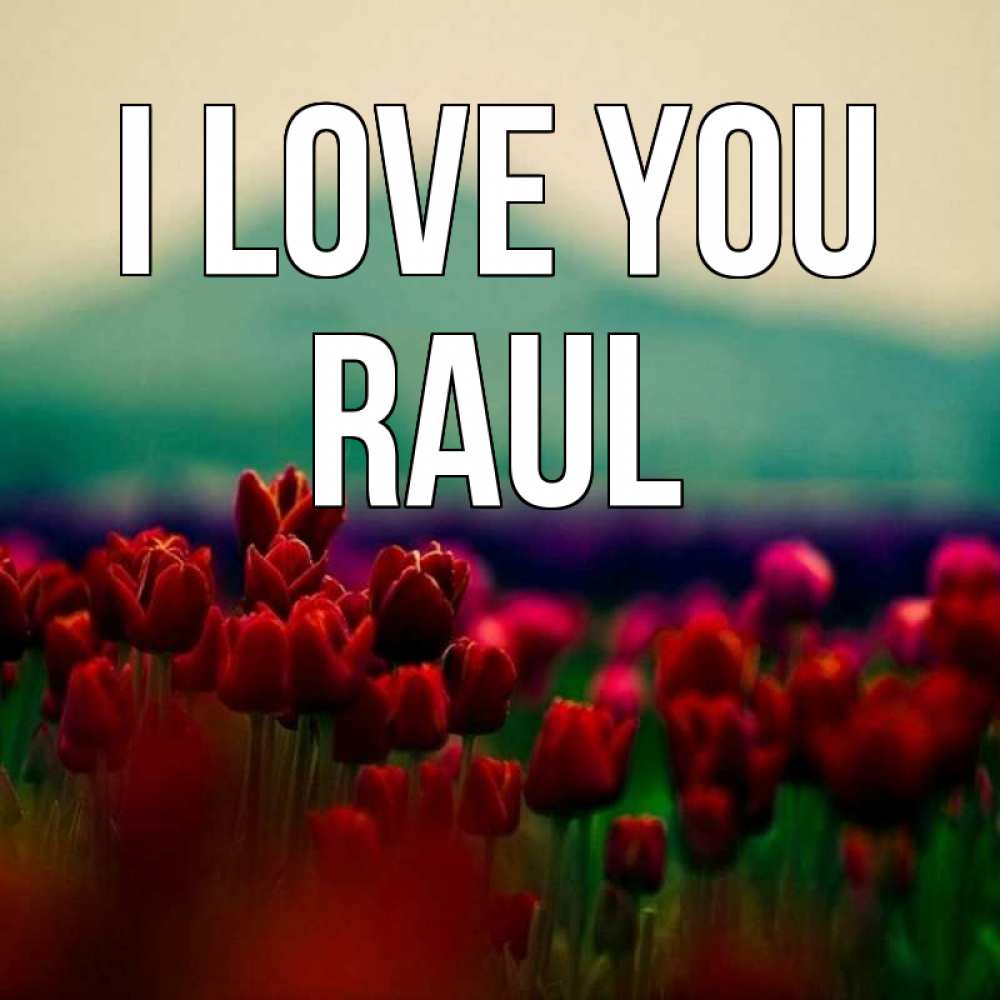 Greetings card с именем, Raul I love you тюльпаны 4 Greetings with text for free download 