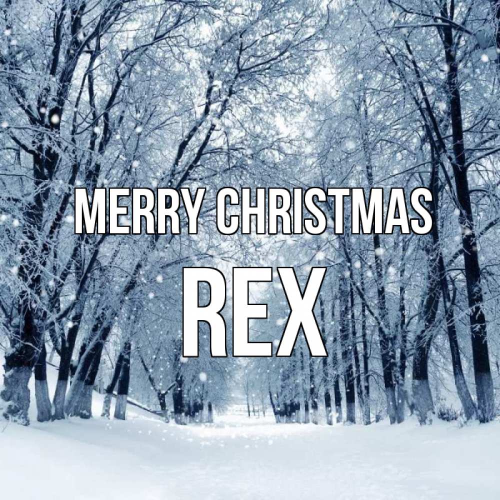 Greetings card с именем, Rex Merry Christmas снег, лес, парк Greetings with text for free download 