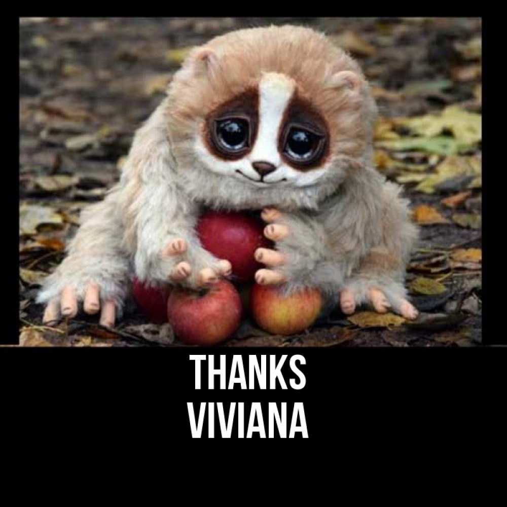 Greetings card с именем, Viviana Thanks прикольное животное Greetings with text for free download 