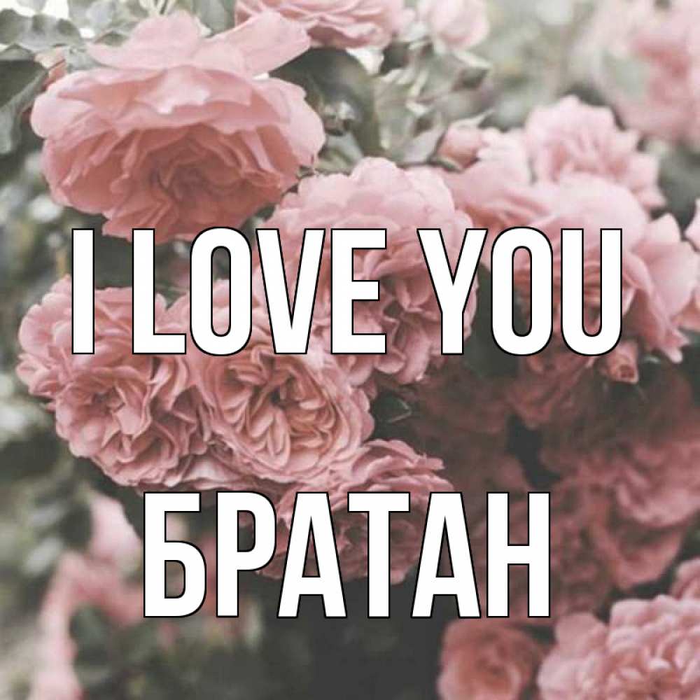 Greetings card с именем, Братан I love you розы 3 Greetings with text for free download 