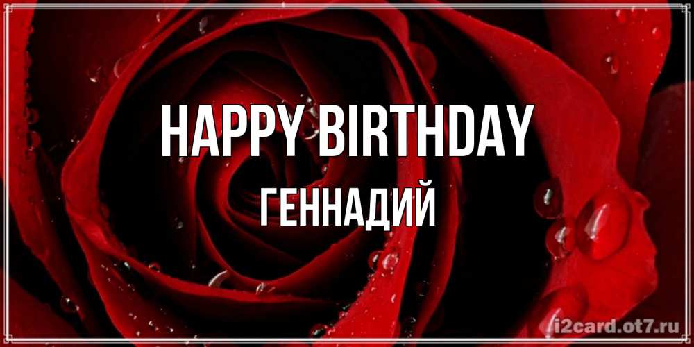 Greetings card с именем, Геннадий Happy Birthday крупная бордовая роза Greetings with text for free download 