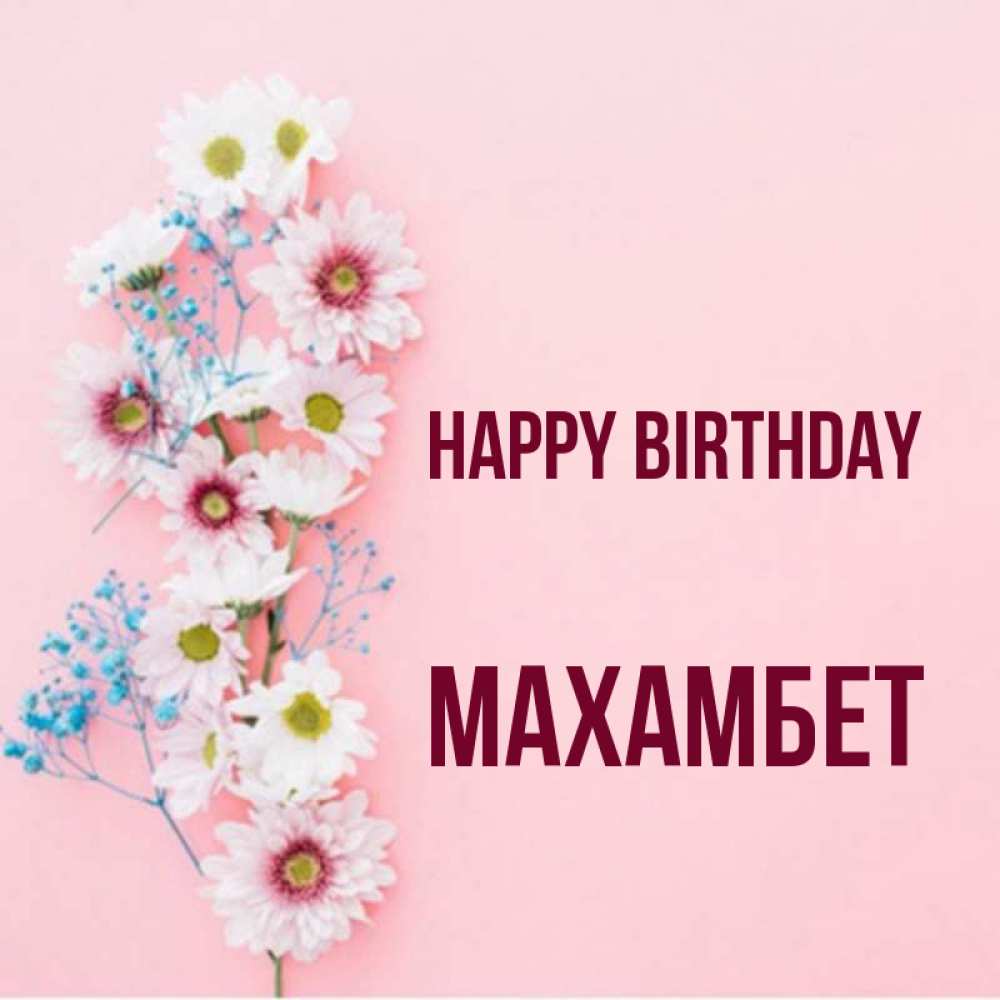 Greetings card с именем, МАХАМБЕТ Happy Birthday Родная моя с днем рождения тебя картинка с цветами белыми и голубыми Greetings with text for free download 