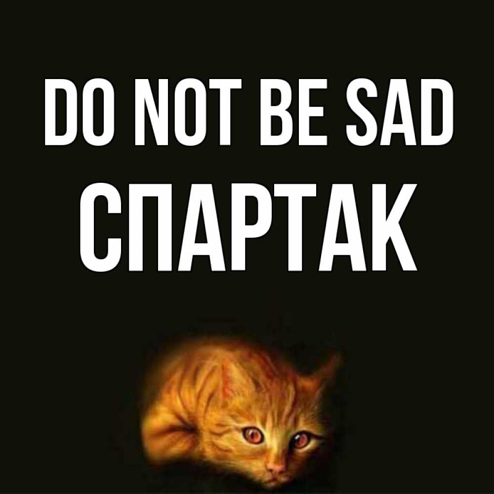 Greetings card с именем, Спартак Do not be sad лежащий кот в темноте Greetings with text for free download 
