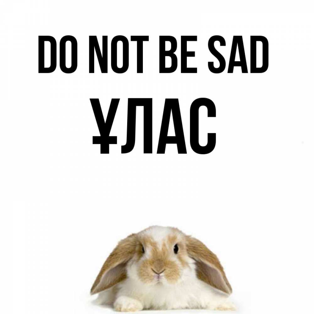 Greetings card с именем, ҰЛАС Do not be sad коричнево белый заяц с большими ушками Greetings with text for free download 