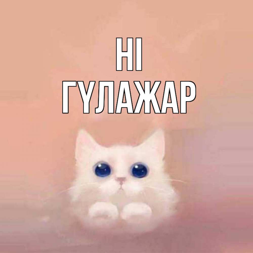 Greetings card с именем, ГҮЛАЖАР Hi котик белый в полете Greetings with text for free download 