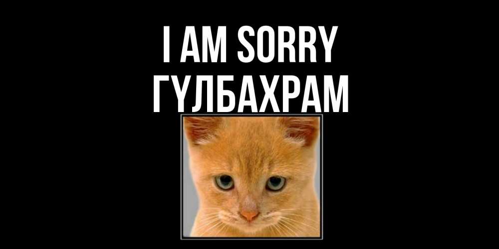 Greetings card с именем, ГҮЛБАХРАМ I am sorry рыжий грустный кот просит прощения Greetings with text for free download 