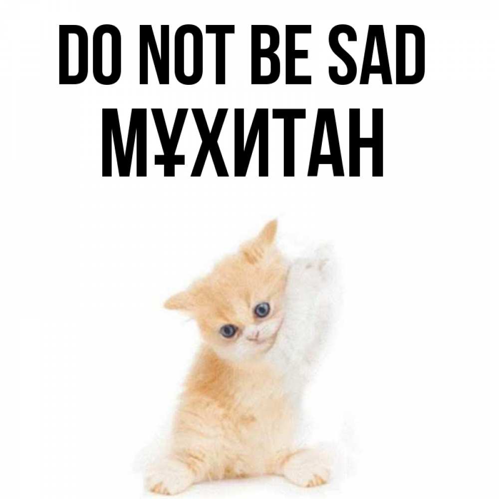 Greetings card с именем, МҰХИТАН Do not be sad просящий кот Greetings with text for free download 