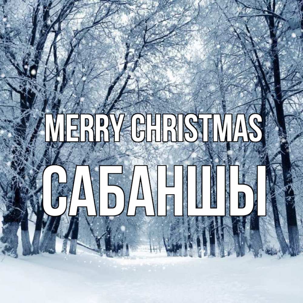Greetings card с именем, САБАНШЫ Merry Christmas снег, лес, парк Greetings with text for free download 