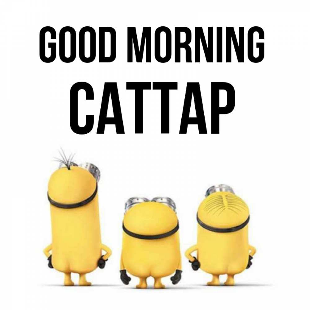 Greetings card с именем, САТТАР Good morning подписать открытку онлайн бесплатно Greetings with text for free download 