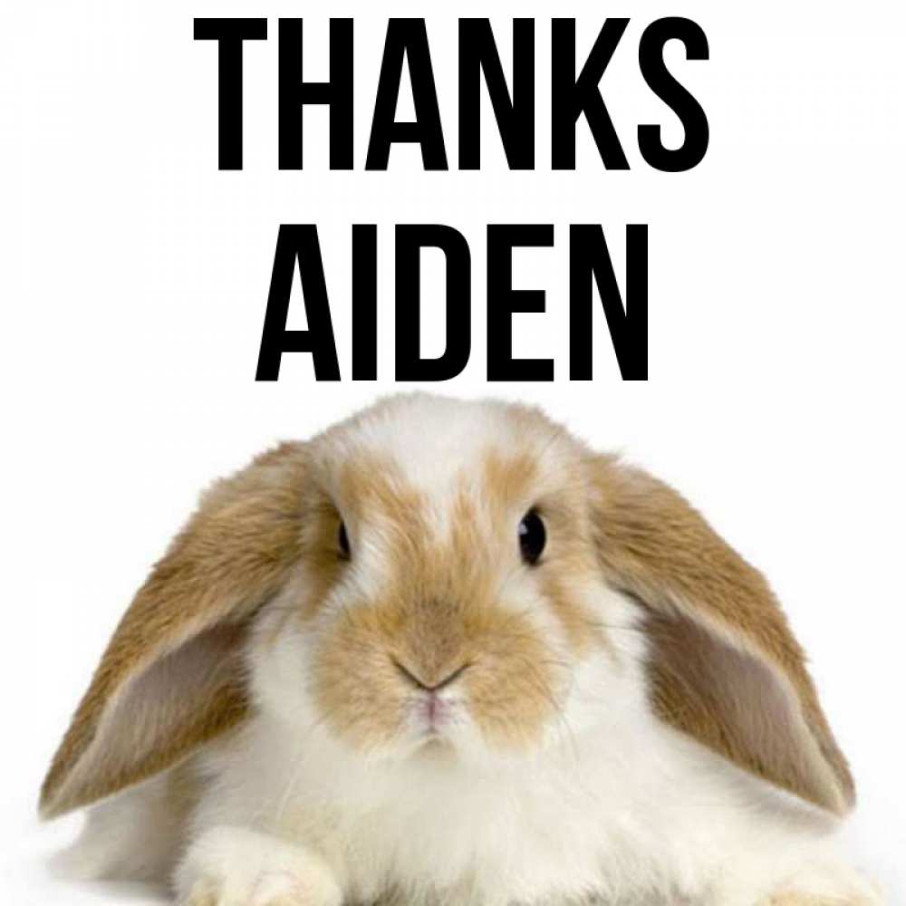 Greetings card с именем, Aiden Thanks коричнево белый заяц Greetings with text for free download 