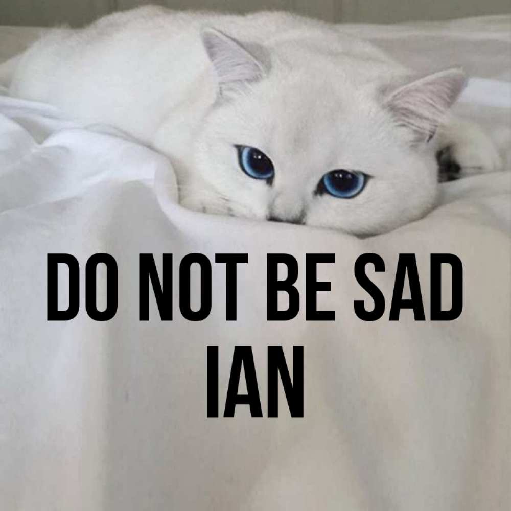 Greetings card с именем, Ian Do not be sad Голубоглазая кошка Greetings with text for free download 