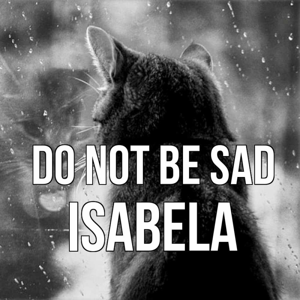 Greetings card с именем, Isabela Do not be sad отражение кота 1 Greetings with text for free download 