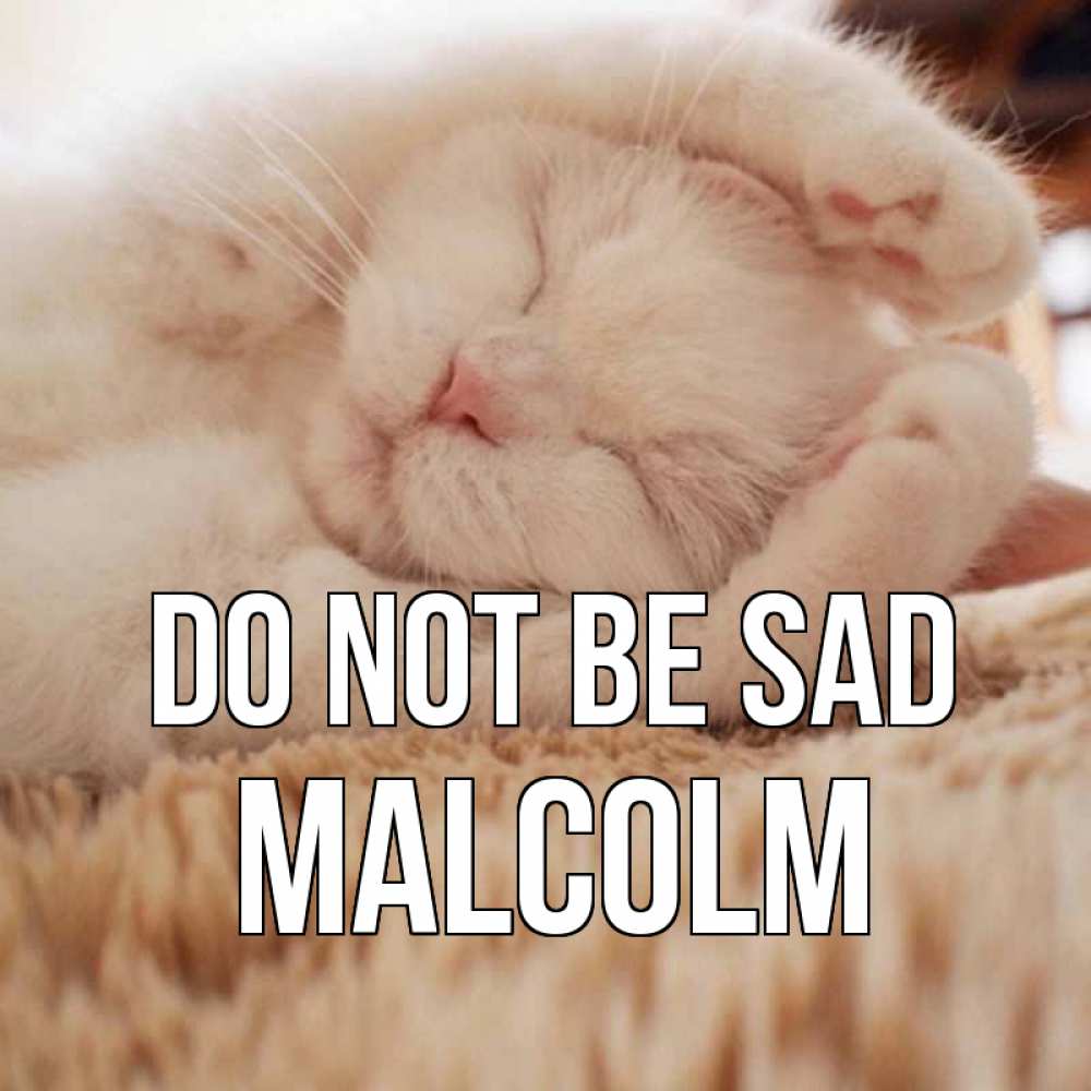 Greetings card с именем, Malcolm Do not be sad белый кот Greetings with text for free download 