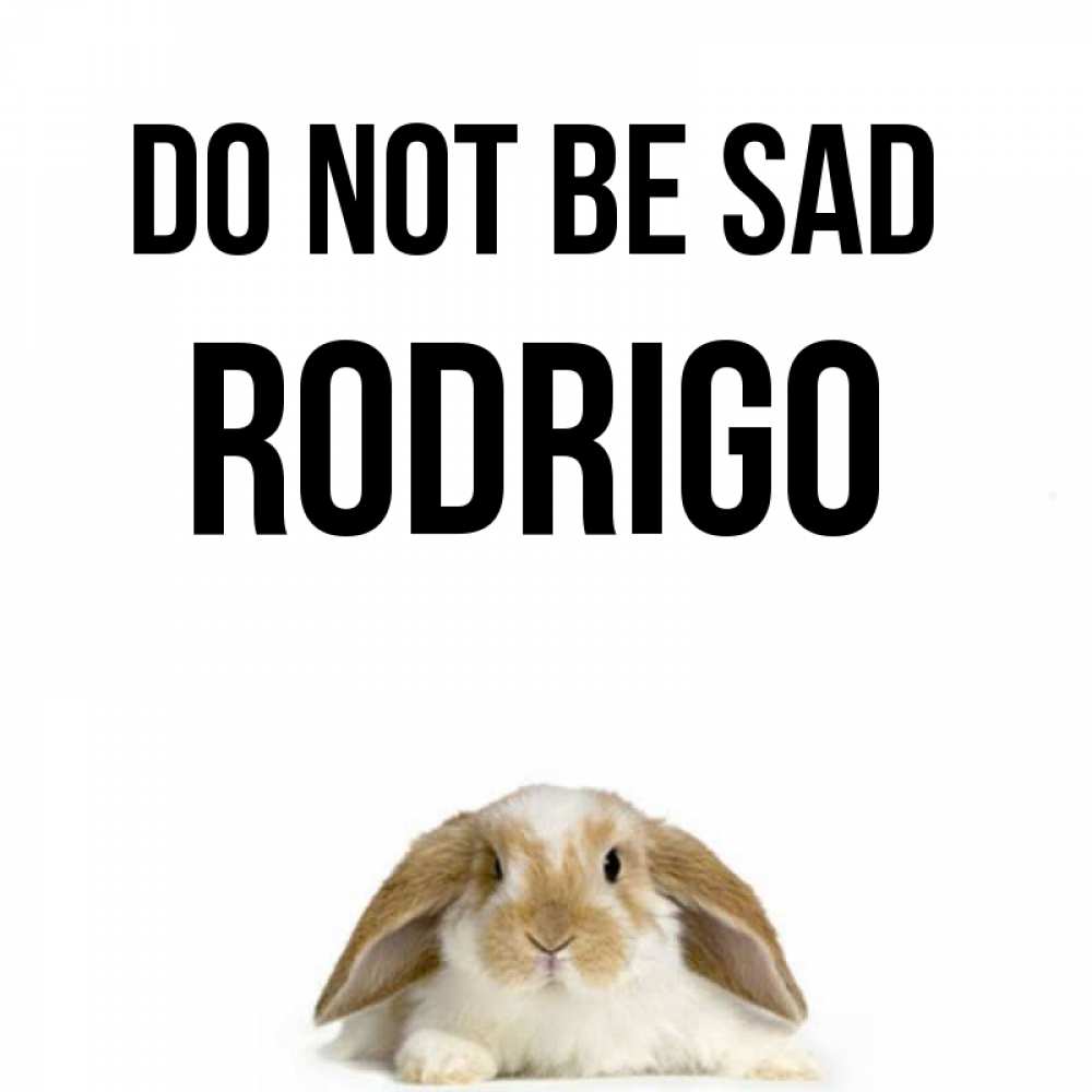 Greetings card с именем, Rodrigo Do not be sad коричнево белый заяц с большими ушками Greetings with text for free download 