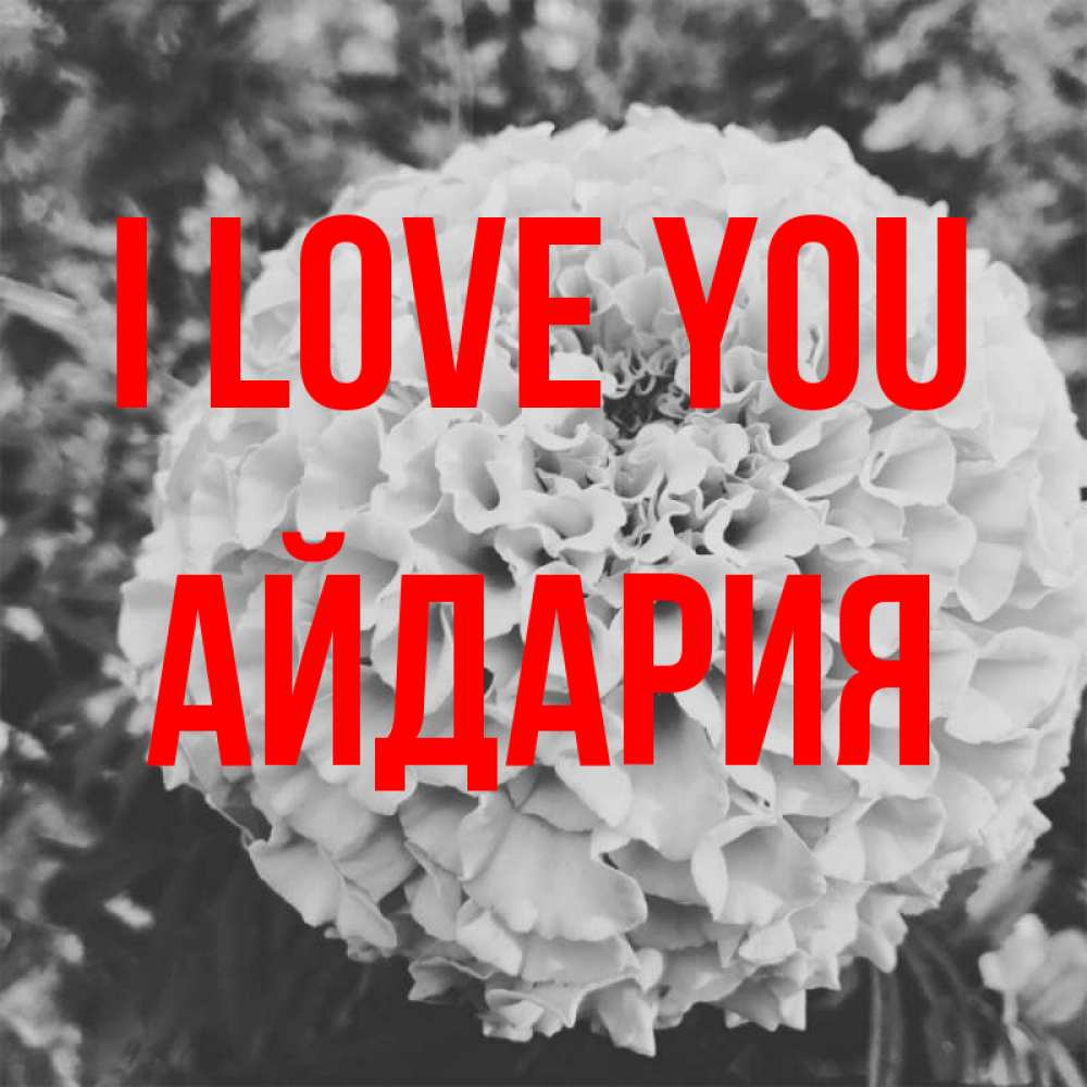 Greetings card с именем, АЙДАРИЯ I love you подпись Greetings with text for free download 