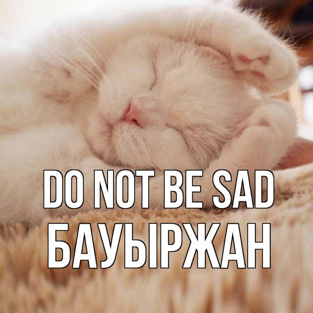 Greetings card с именем, Бауыржан Do not be sad белый кот Greetings with text for free download 