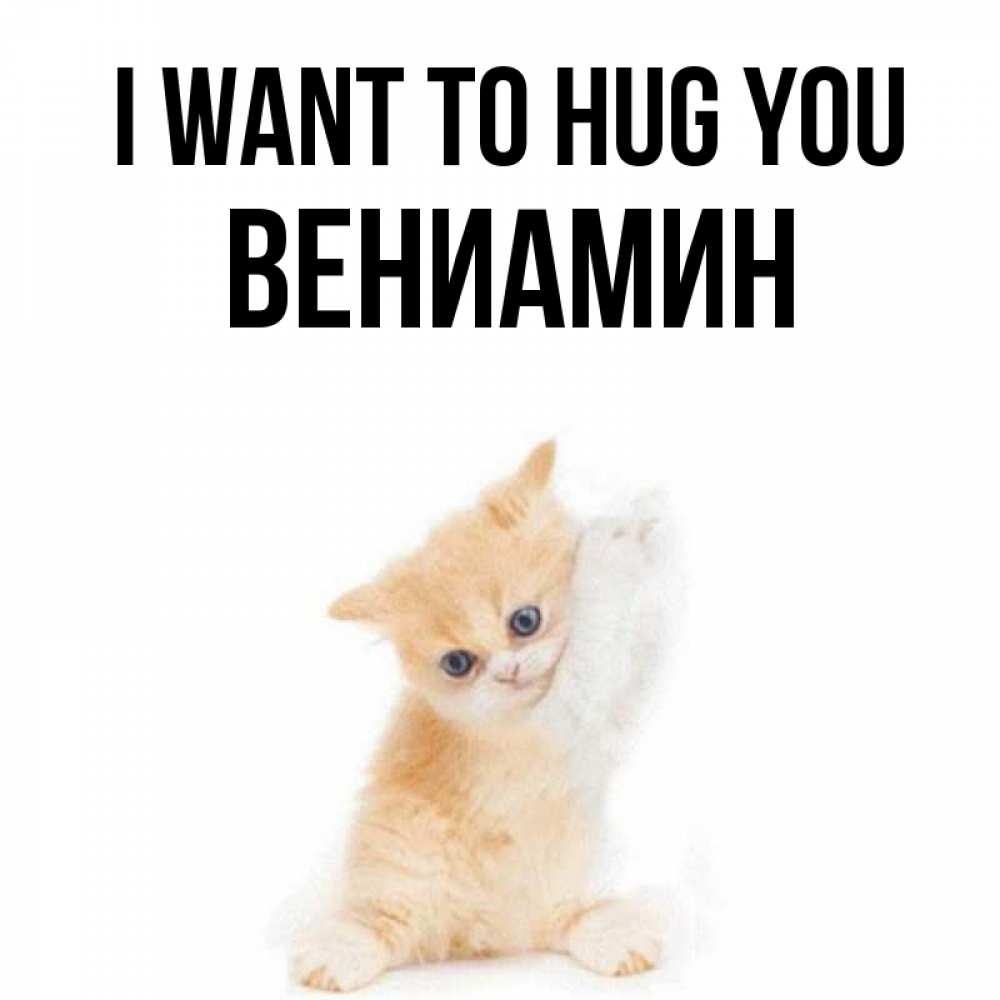 Greetings card с именем, Вениамин I want to hug you я хочу очень скорее обнимаешек Greetings with text for free download 