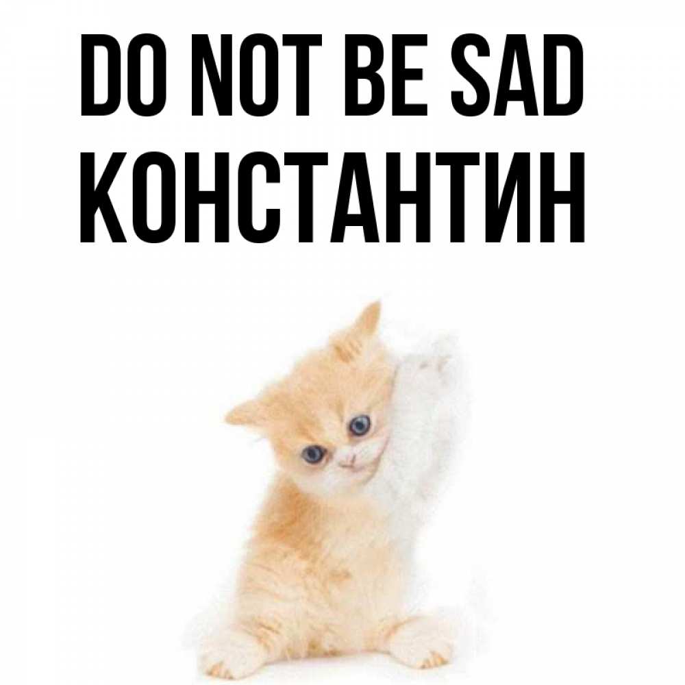 Greetings card с именем, Константин Do not be sad просящий кот Greetings with text for free download 
