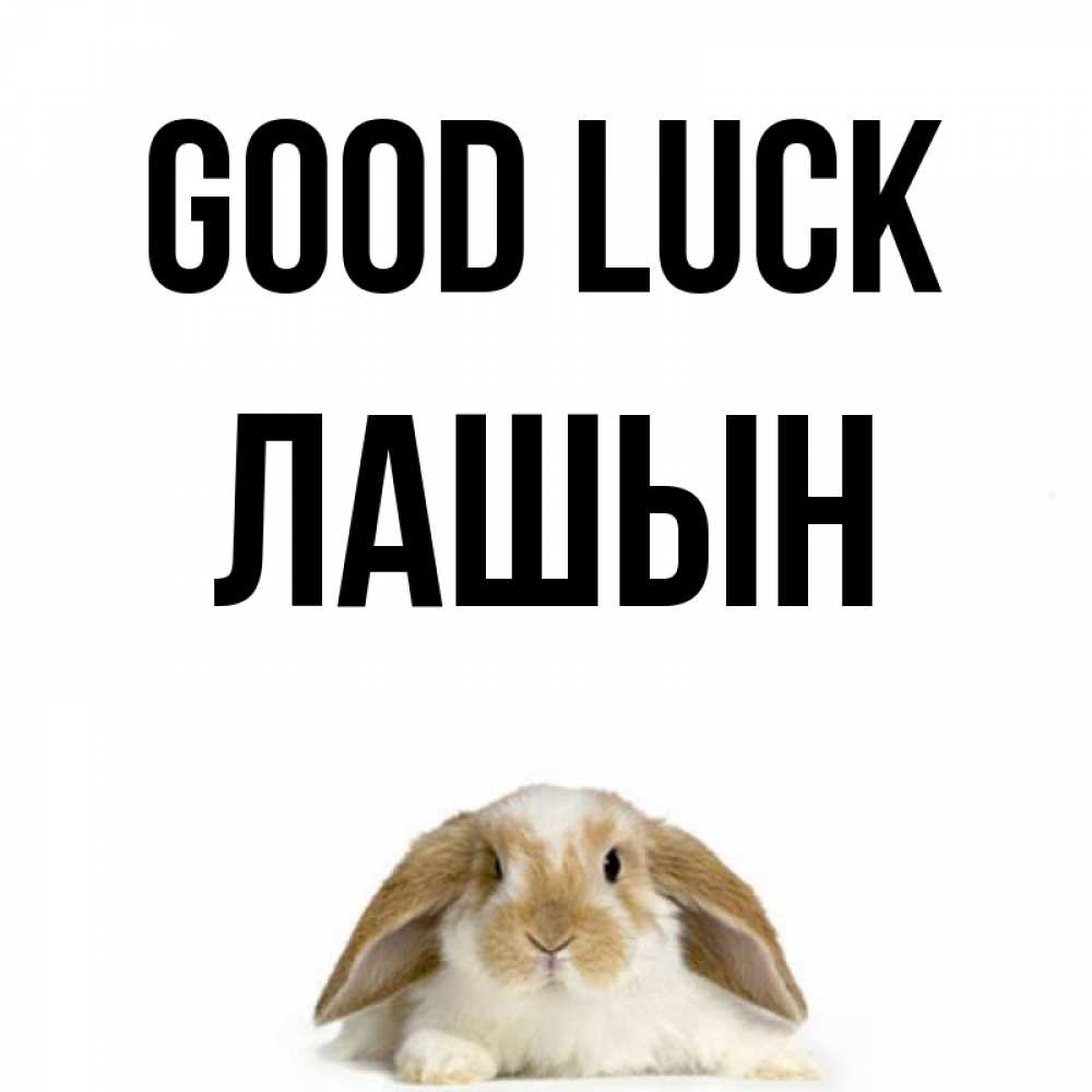 Greetings card с именем, ЛАШЫН Good luck открытки с произвольным текстом который можно вставить в открытку и создать ее самостоятельно бесплатно онлайн Greetings with text for free download 
