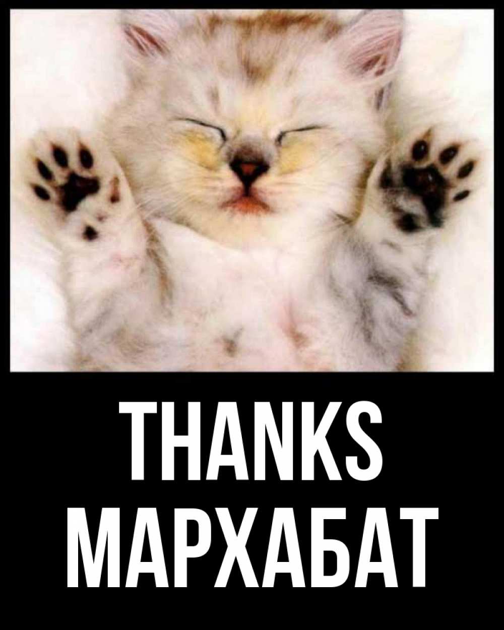 Greetings card с именем, МАРХАБАТ Thanks маленький котенок Greetings with text for free download 