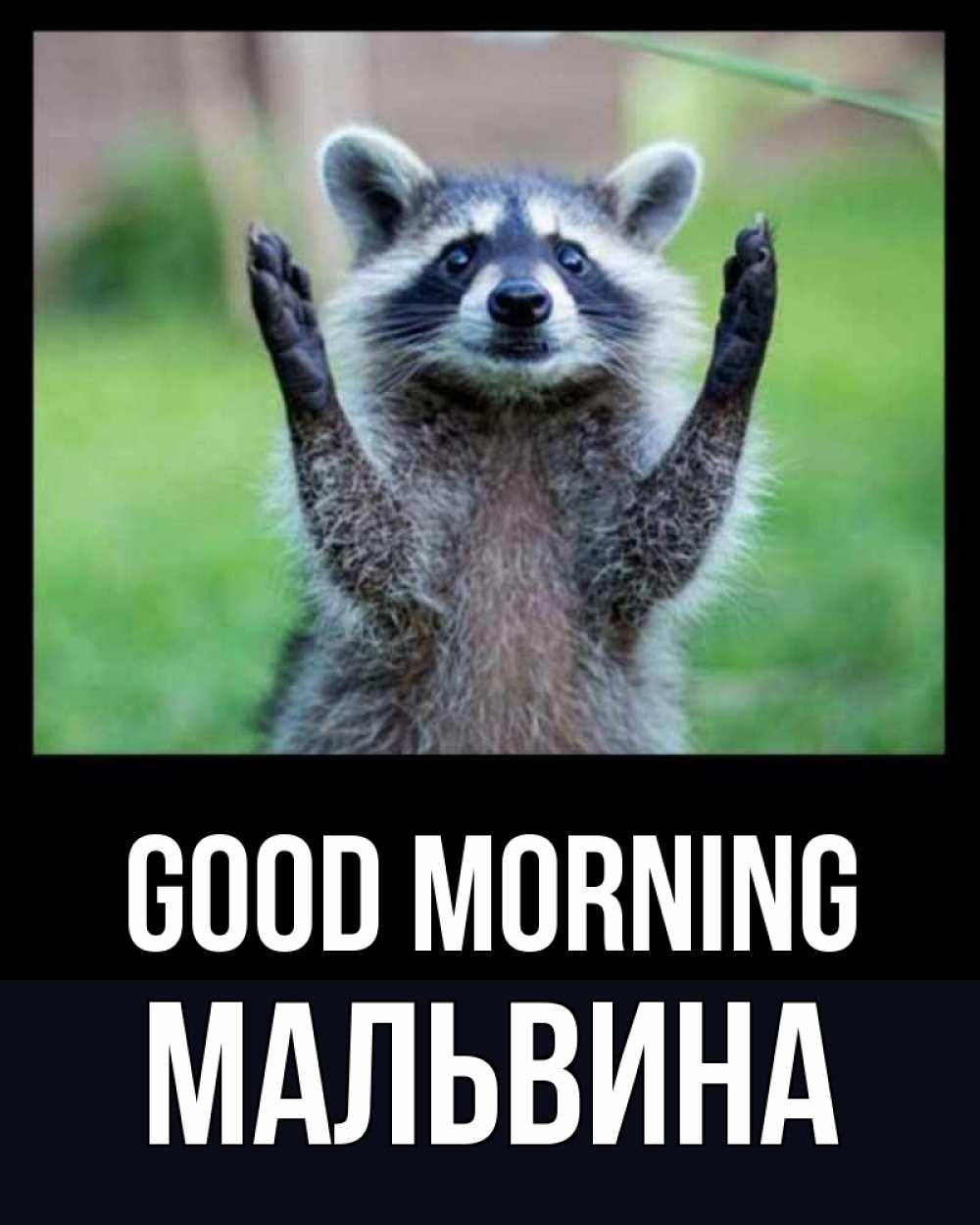 Greetings card с именем, Мальвина Good morning хорошее настроение утречком Greetings with text for free download 