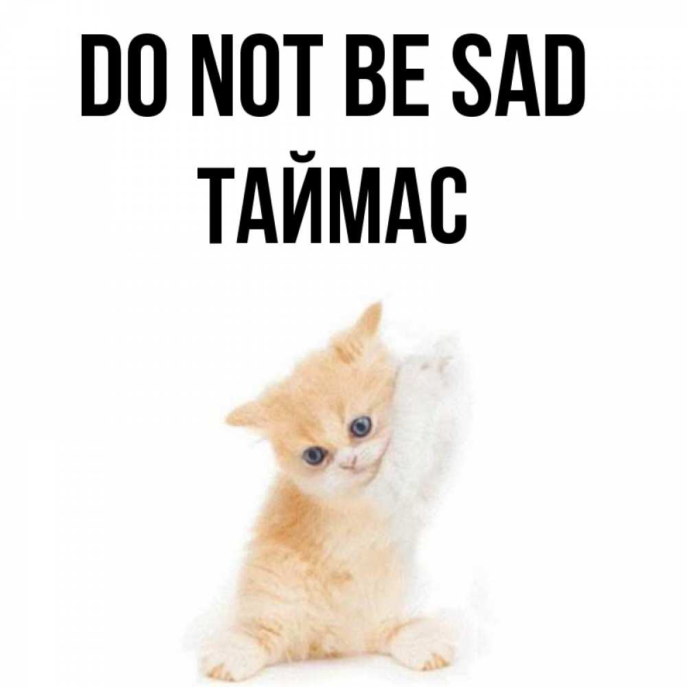 Greetings card с именем, ТАЙМАС Do not be sad просящий кот Greetings with text for free download 