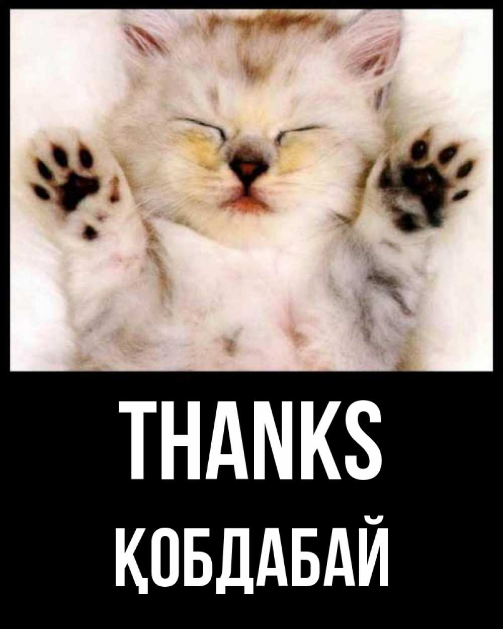 Greetings card с именем, Қобдабай Thanks маленький котенок Greetings with text for free download 